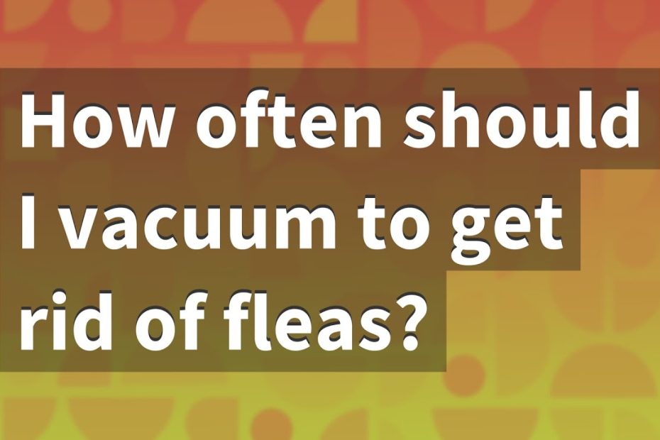 How Often Should I Vacuum To Get Rid Of Fleas? - Youtube