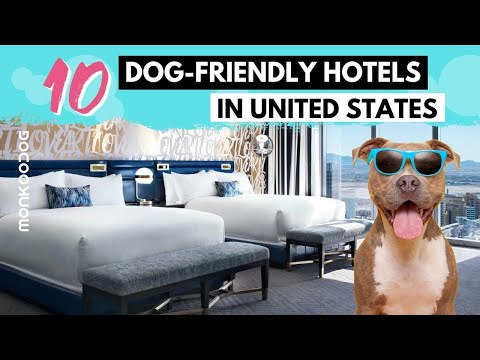 Best 10 Pet Friendly Hotels in the US || Top Dog Friendly Hotels and Resorts || Monkoodog